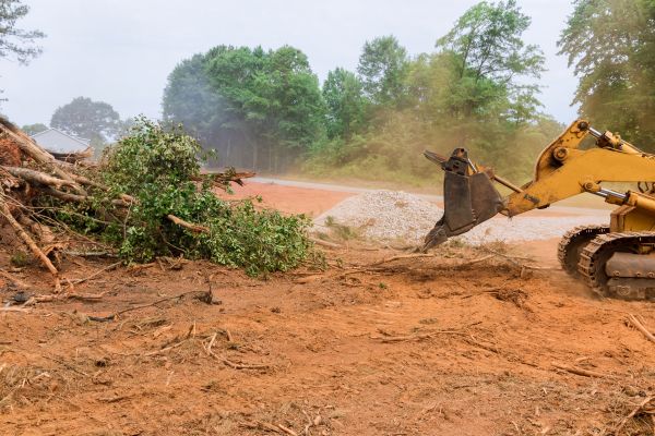 Ground Clearing in York
