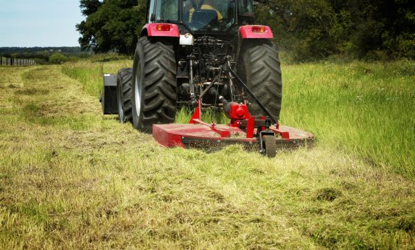 Brush Clearing Service in York