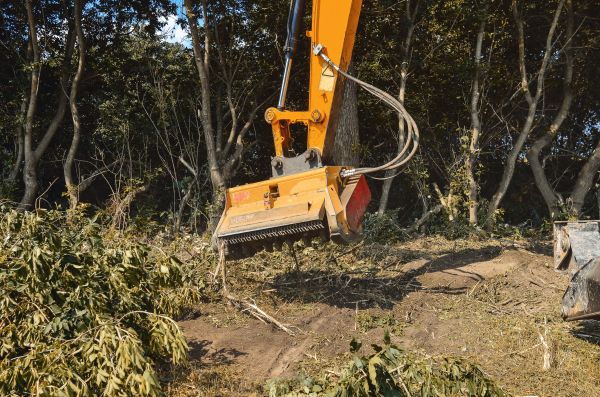 Brush Removal Service in York