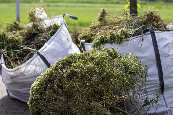 Cost of Bushes Clearing in York