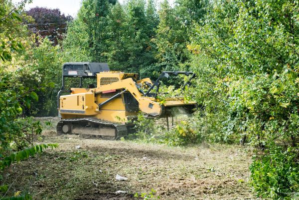 Cost of Pathway Clearing in York