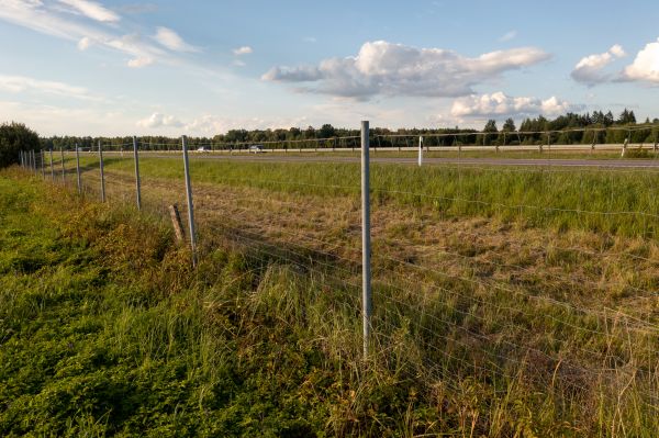 Cost of Property Line Clearing in York