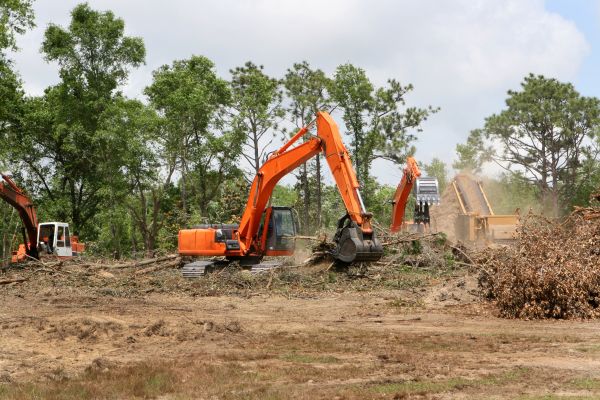 Cost of Commercial Lot Clearing in York