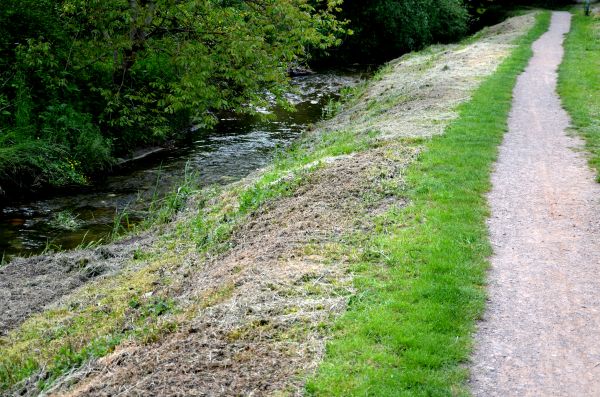 Cost of Trail Cutting in York