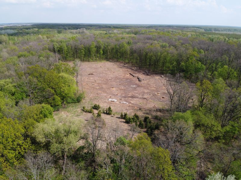Environmental Land Clearing Experts